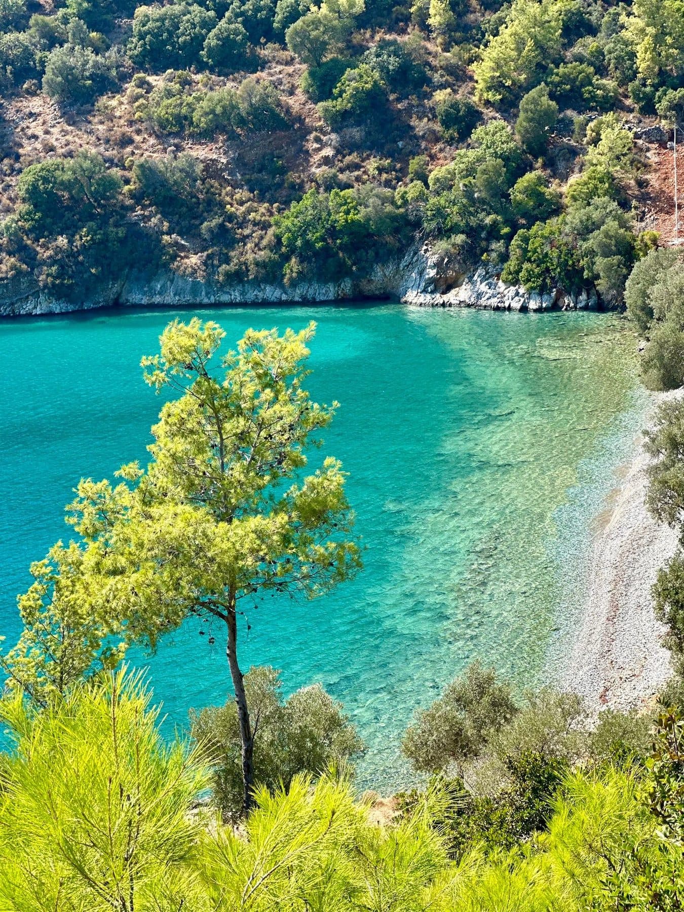 Akbük koyunda turkuaz deniz manzarası